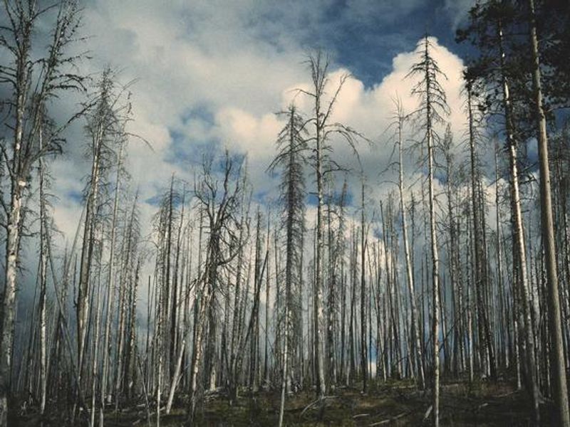 郭晓力 的工作与生活片段