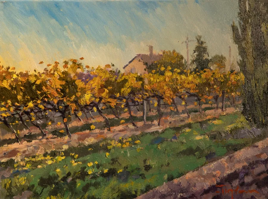 Winnica w Uzes