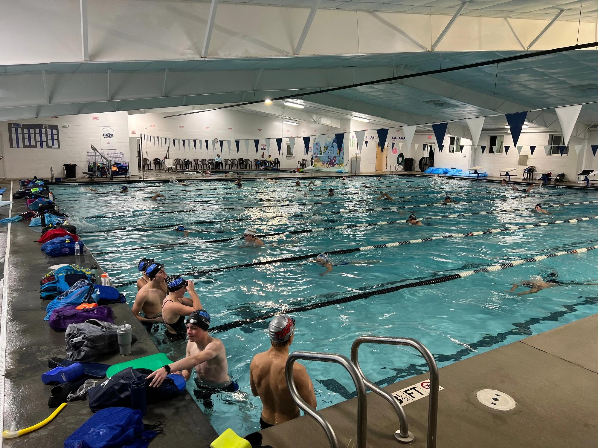 MSA Swim