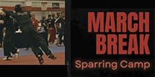 March Break Sparring Camp