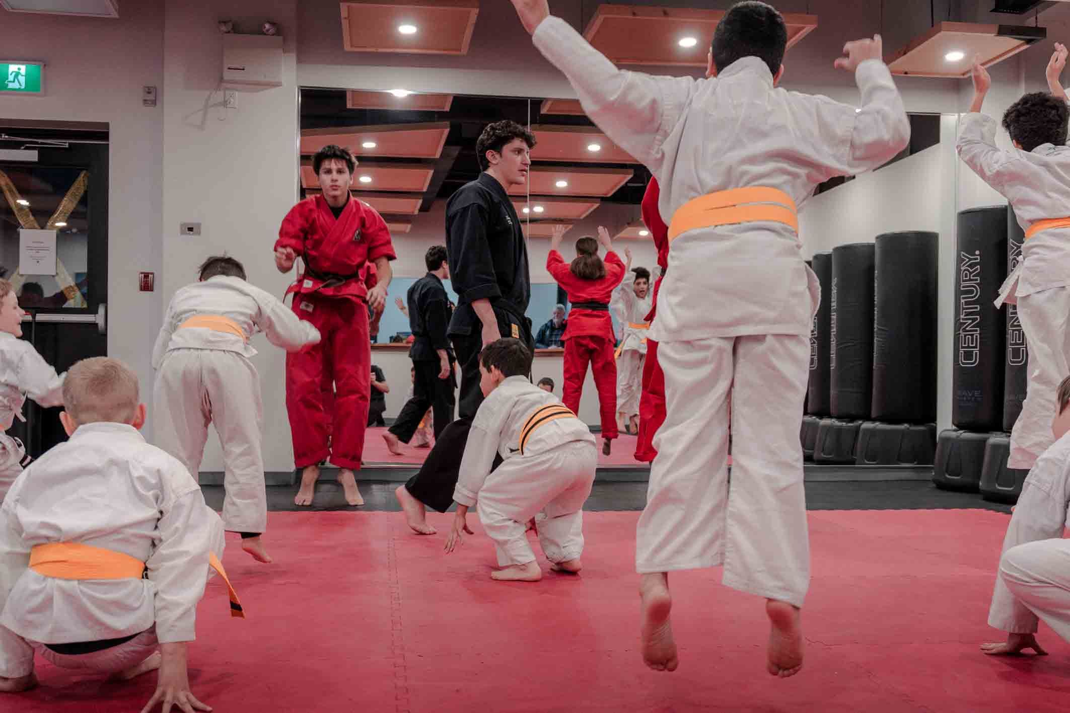 Douvris Martial Arts history