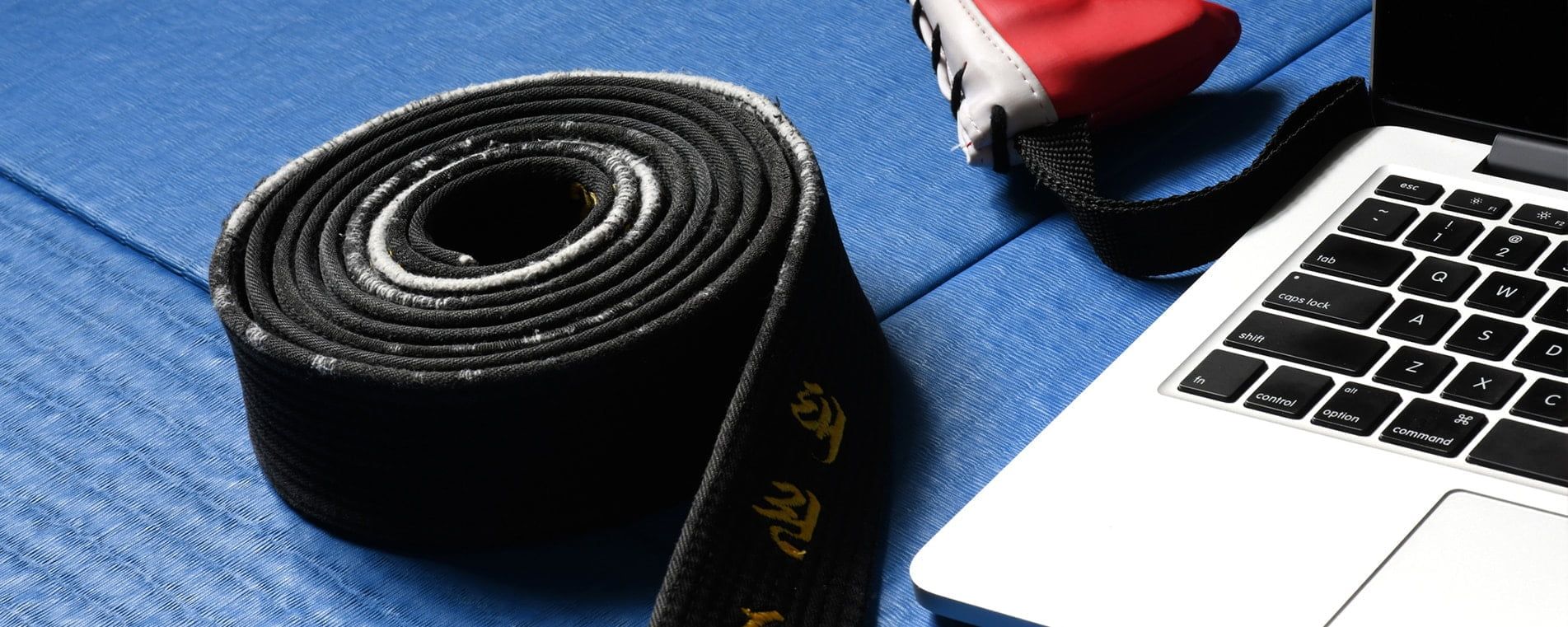 Online Dojo Weekly lesson videos Bi-weekly lesson videos