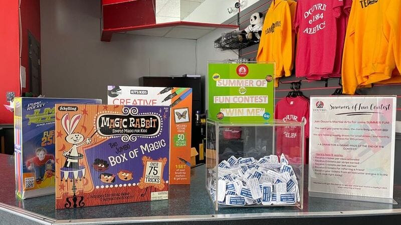 Summer of Fun Contest