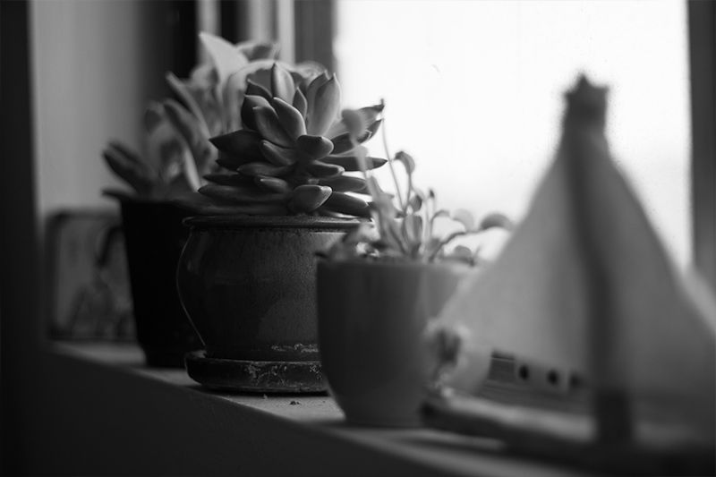 Cultivate Self-Discipline: 9 Ways to Strengthen Your Morning Routine