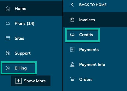 You can also go to Billing > Credits to see your account credit. Or you can click on the arrow in the upper right corner of the Credits box on your account home page to see your credit details.