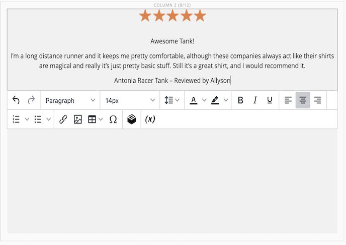 Adding text to a WYSIWYG editor to create review content in Magento 2 Page Builder