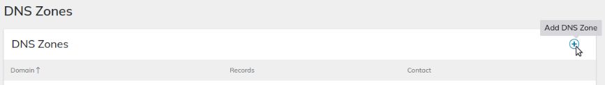 Click the plus (+) icon on the right side of the page to add a DNS Zone.
