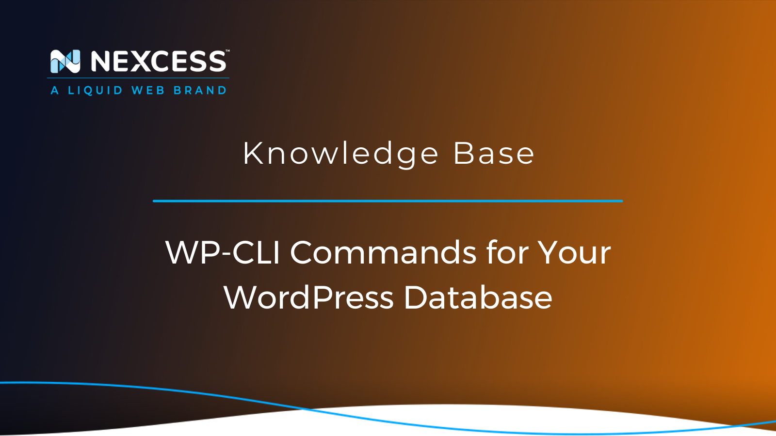 Optimize Database In WordPress With WP-CLI Commands | Nexcess