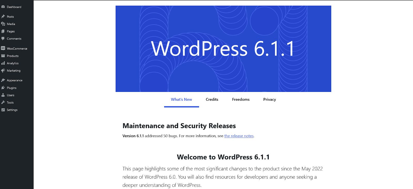 Updating WordPress core within the dashboard.