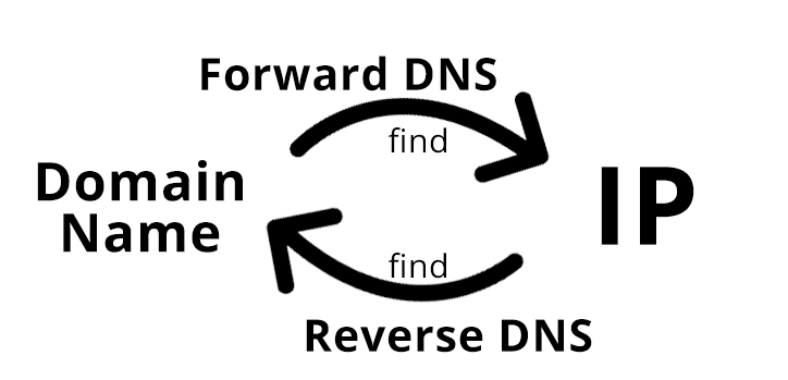 DNS records lookup