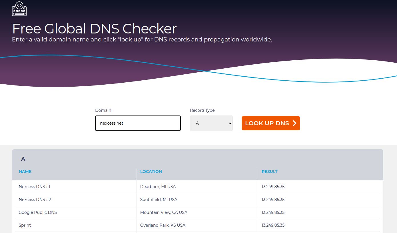 With our convenient tool, simply enter a domain name and choose the record you want to see. And then, click the Look Up DNS button.