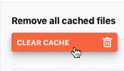 Locate Quick Actions and clear the cache.