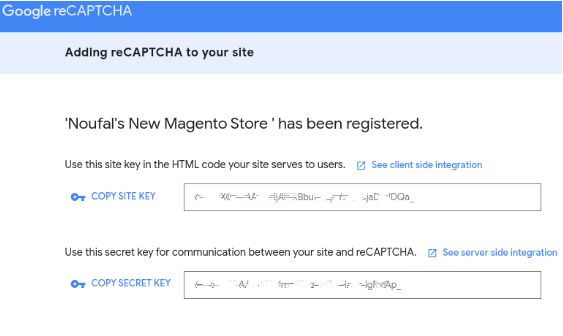 Once you click the Submit button, Google will automatically generate the public and private key pair for your chosen website. Here is the sample output.