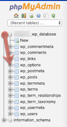 php Admin database wp_options