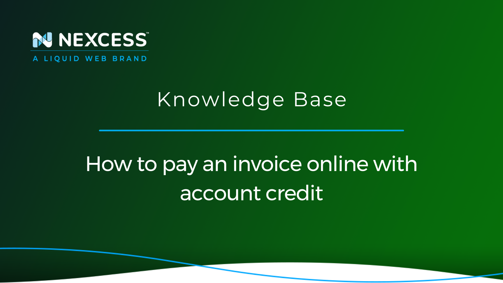 How to pay an invoice online with account credit