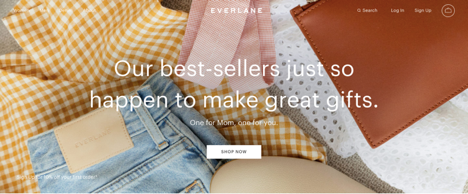 Everlane ecommerce example