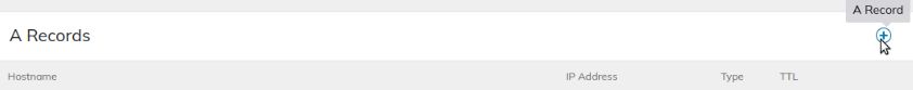 To add a new DNS record for the live domain, click the plus (+) icon corresponding to the DNS record type you wish to add — for example, A Record.