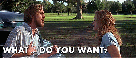 “What do you want?” GIF from The Notebook