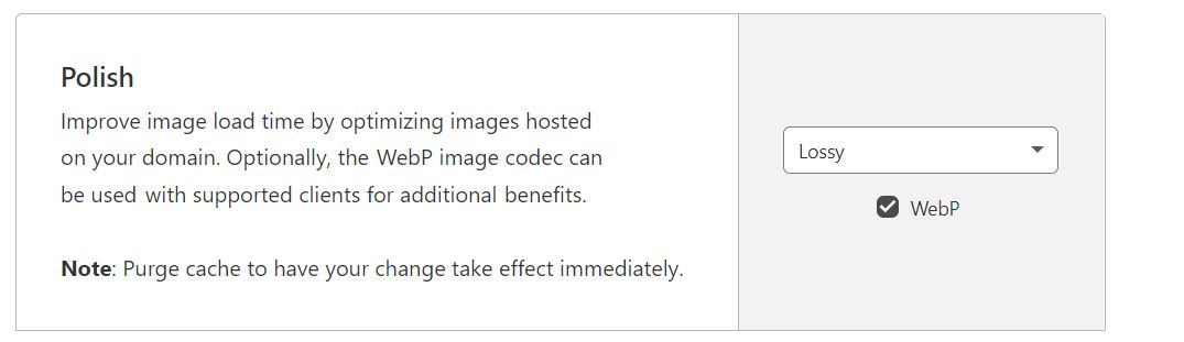 As mentioned earlier, there are two modes to pick from when setting up Polish: Lossless and Lossy.