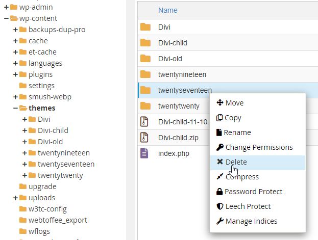 Click delete to delete your WordPress theme