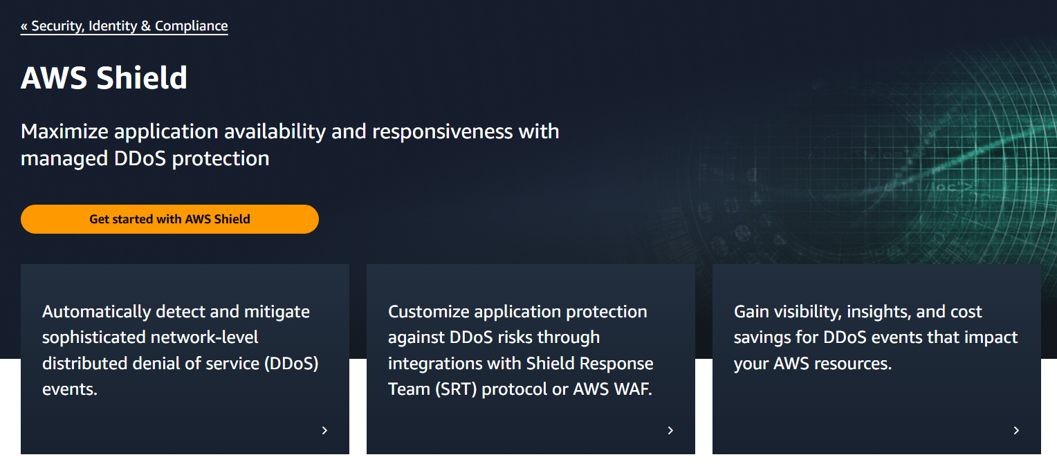 Amazon's AWS Shield -- a premium protection against DDoS. 