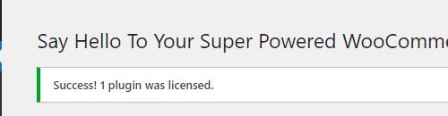 You should get a message that the plugin was successfully licensed.