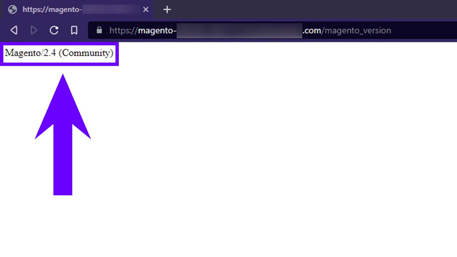 Screenshot of a web browser with an arrow pointing to the Magento version displayed in the browser by modifying the site URL.