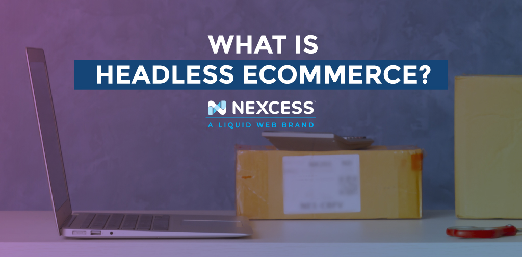 What is headless ecommerce