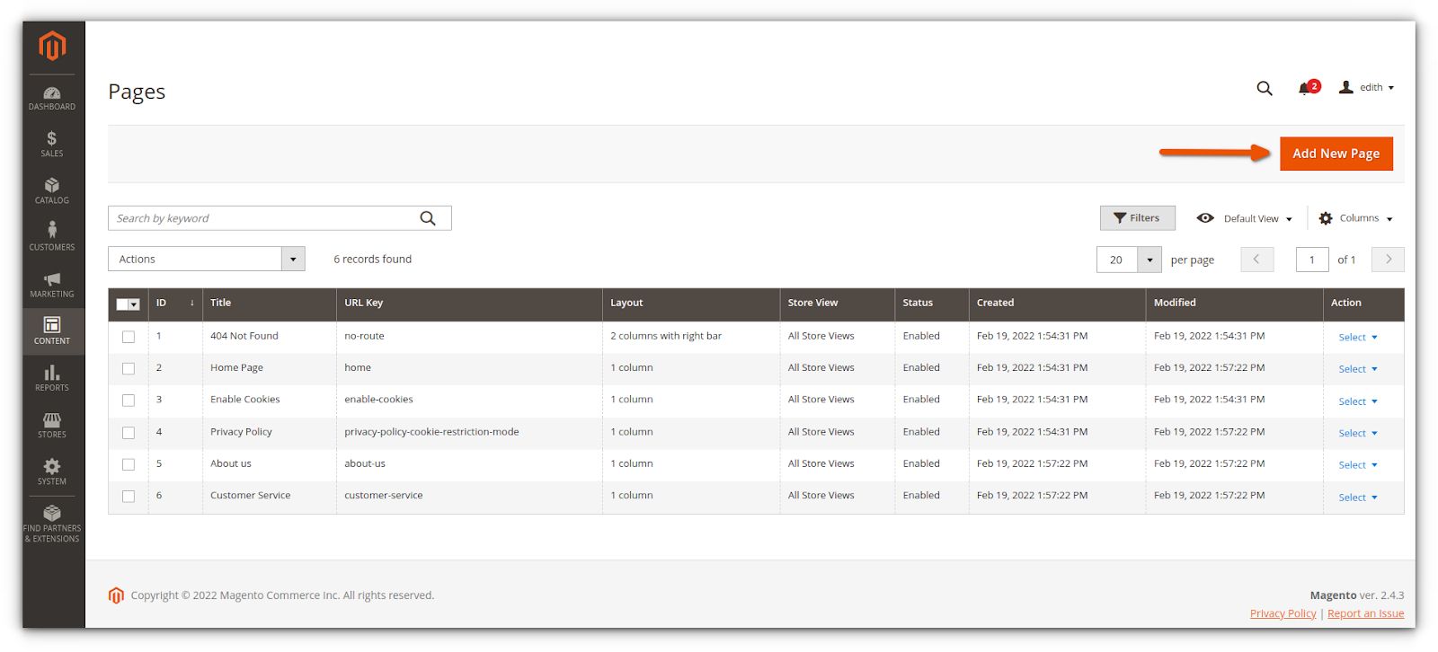 Under Pages, click the Add New Page button (top-right corner of the Magento Admin Panel).