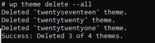 Delete all WordPress themes command