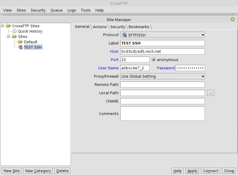 For the user of password-based credentials, enter your FTP user name in the User Name field and FTP password in the Password field and click the Connect button to connect to the host server you specified.