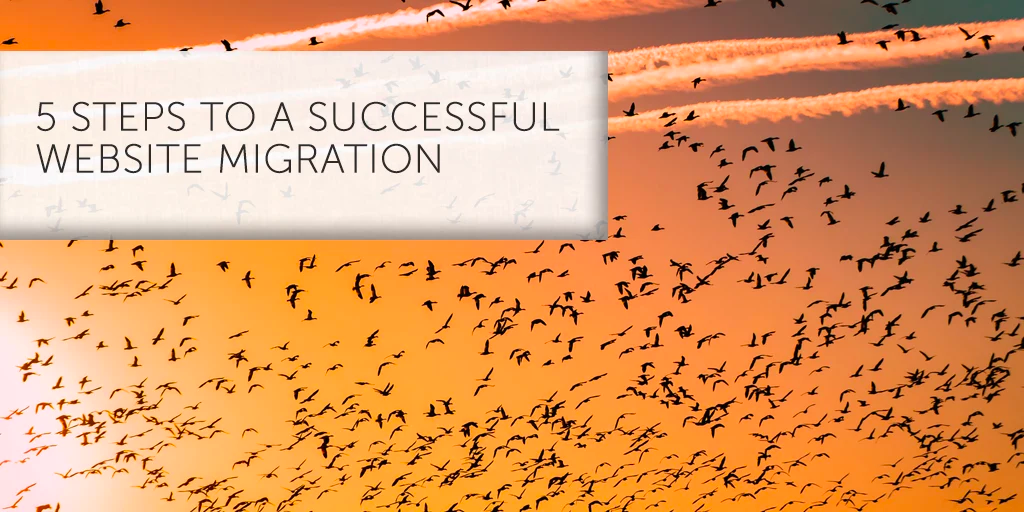 Steps to a Successful Website Migration