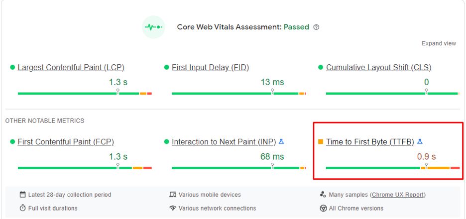 Time to First Byte test results from Google PageSpeed Insights