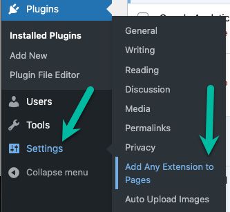 Settings > Add Any Extension to Pages Menu Option