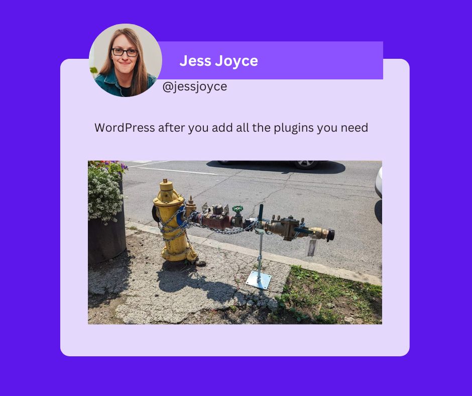  A tweet that reads WordPress after you add all the plugins you need. A picture shows a fire hydrant with several added connections extending it several feet.