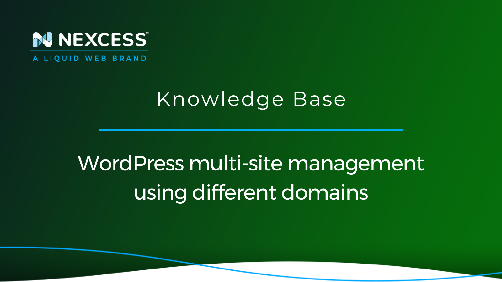 WordPress Multisite Management With Different Domains [2023] | Nexcess