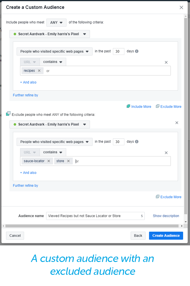 Custom audience with excluded audience