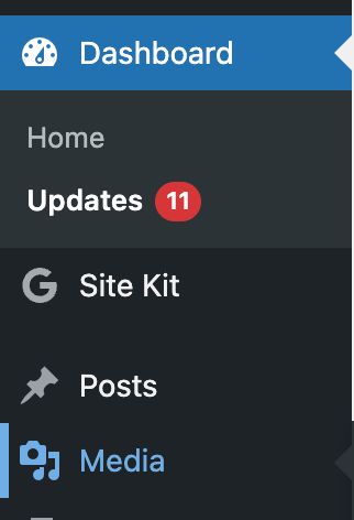 You can update your WordPress website via your dashboard.