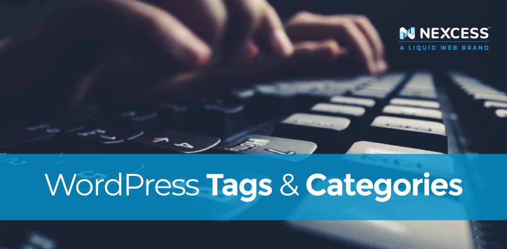 WordPress tags and categories