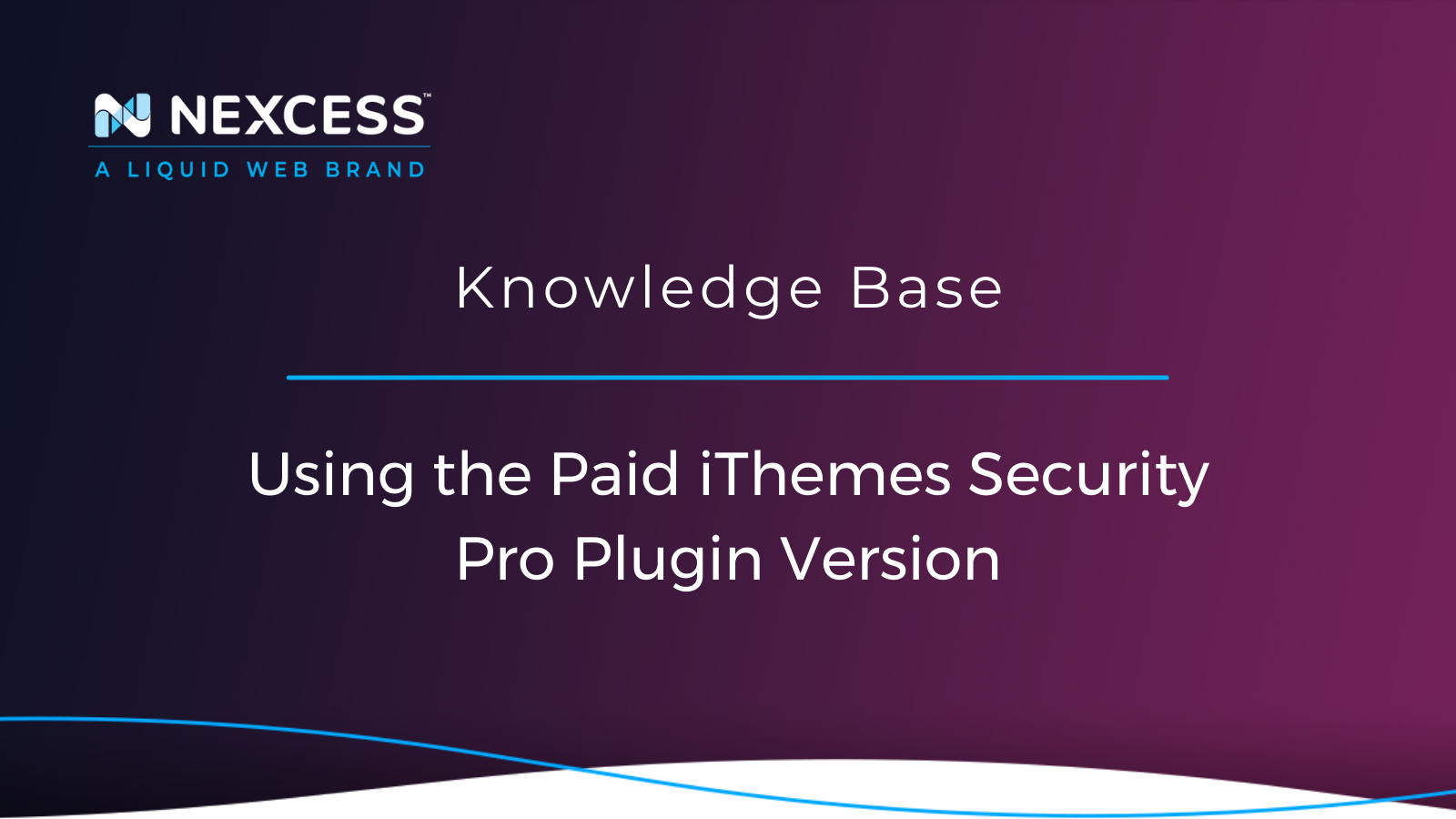 Using the Paid iThemes Security Pro Plugin Version