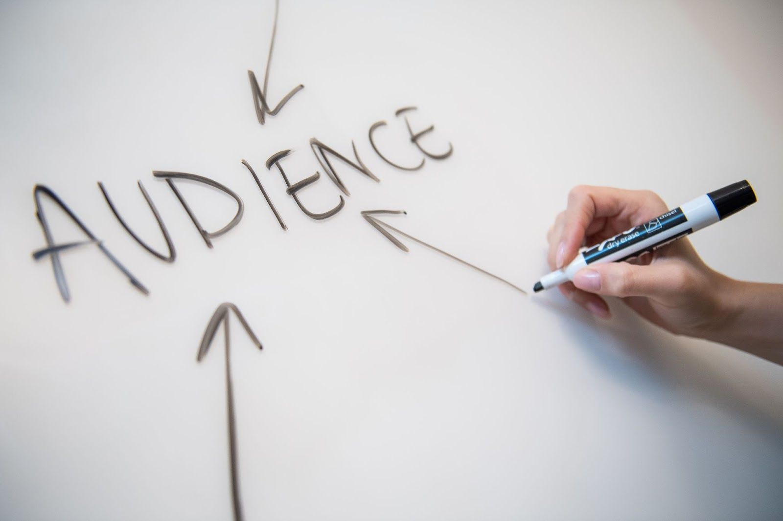 Hand Drawing Pointers Around The Word ‘Audience’ on a Whiteboard for Ecommerce Content Marketing