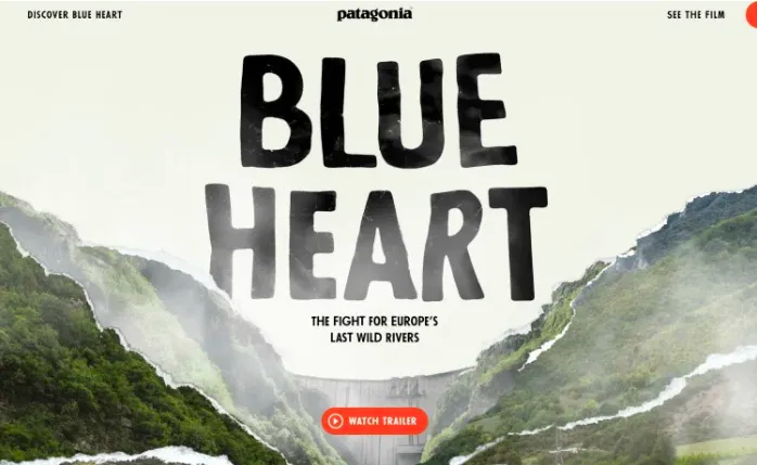 Patagonia email marketing campaign example
