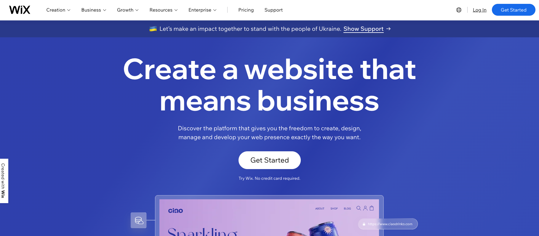 Wix lets you create any kind of website