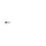 Pregnenolone