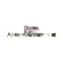 Beta Androsterone