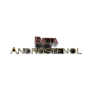 Beta Androstenol