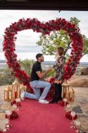 Weddings & Engagements