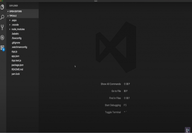 Visual Studio Code has Appjson image