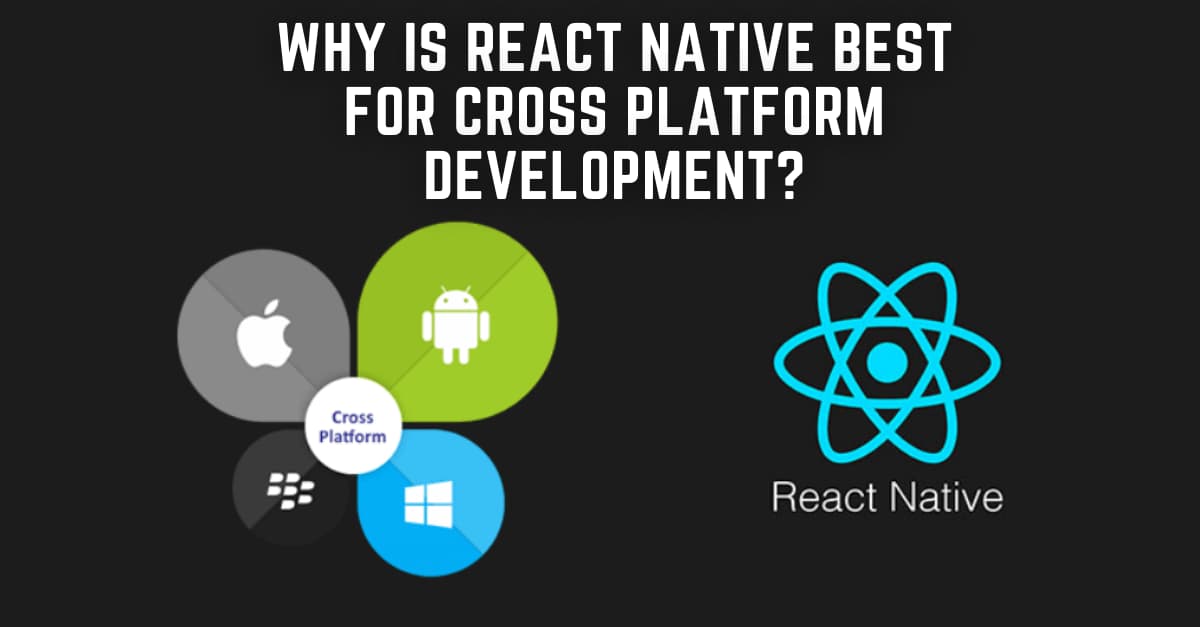 Why is react native best for cross platform development? Banner image's picture