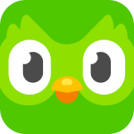Duolingo Banner Image
